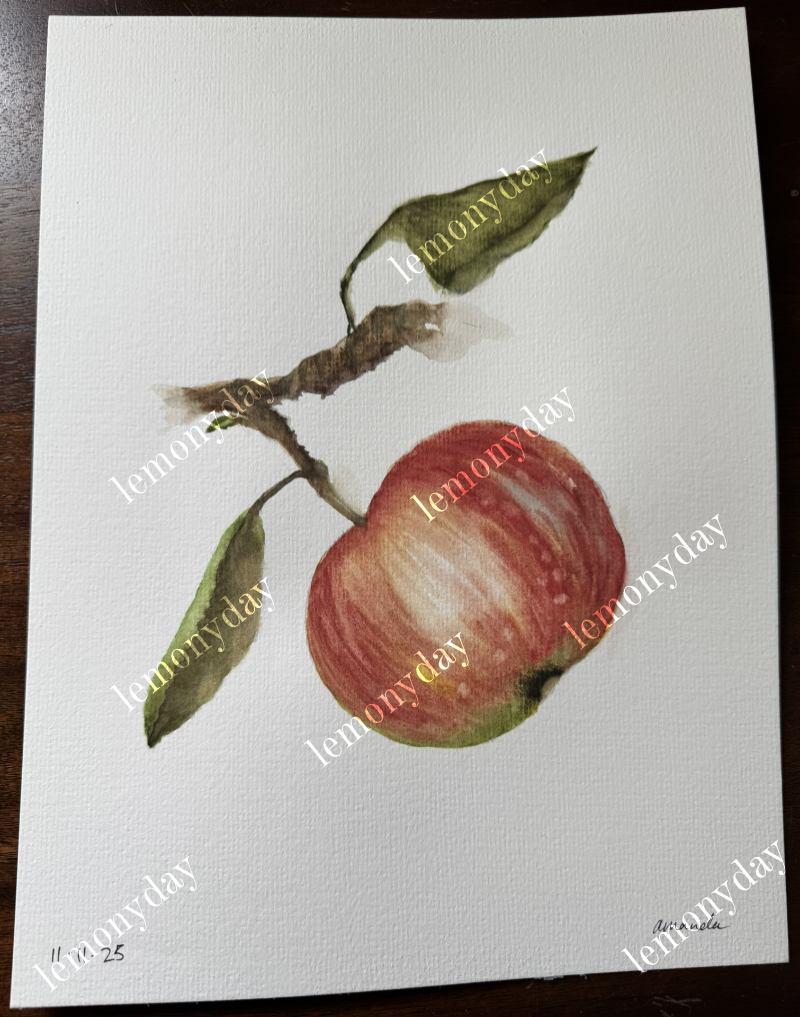 class exercise - apple